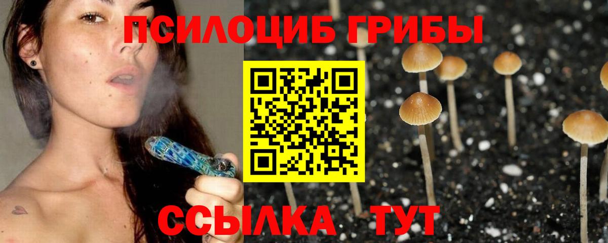 Галлюциногенные грибы Cubensis  Вход с VPN  купить наркотики цена  Красноперекопск 